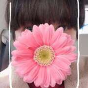 ヒメ日記 2026/04/06 06:54 投稿 くろな ドMな奥様 京都店