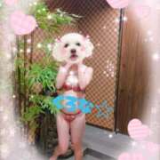 ヒメ日記 2026/04/08 15:29 投稿 くろな ドMな奥様 京都店