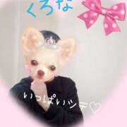 ヒメ日記 2026/05/13 12:28 投稿 くろな ドMな奥様 京都店