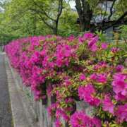 ヒメ日記 2026/05/13 13:17 投稿 くろな ドMな奥様 京都店
