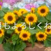 くろな 7月🎐 ドMな奥様 京都店