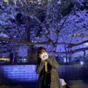 ヒメ日記 2026/04/05 15:15 投稿 桜井 ひまわり CUORE(クオレ)