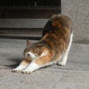 なのか ありがとうございました😊✨️ 東京人妻セレブリティ（ユメオト）