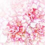 ヒメ日記 2025/08/16 20:18 投稿 もも 舐めフェチの会