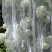 ヒメ日記 2025/08/28 22:16 投稿 もも 舐めフェチの会