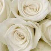 ヒメ日記 2025/08/31 22:49 投稿 もも 舐めフェチの会