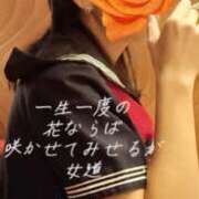 ヒメ日記 2025/11/19 22:46 投稿 名草 熟女の風俗最終章 新横浜店