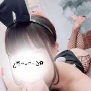 もえ★究極のあざと可愛い❤ 💌💓 BUNNY PLAS