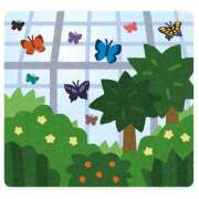 ヒメ日記 2025/07/24 03:51 投稿 くれは 水戸人妻花壇