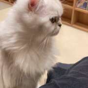 ヒメ日記 2025/07/26 12:19 投稿 くれは 水戸人妻花壇