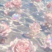 ヒメ日記 2025/10/15 05:28 投稿 くれは 水戸人妻花壇