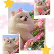 ヒメ日記 2025/10/20 07:22 投稿 くれは 水戸人妻花壇