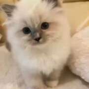 ヒメ日記 2025/10/21 00:17 投稿 くれは 水戸人妻花壇