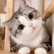 ヒメ日記 2025/10/21 06:10 投稿 くれは 水戸人妻花壇