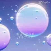 ヒメ日記 2025/10/21 08:05 投稿 くれは 水戸人妻花壇