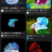 ヒメ日記 2025/10/21 10:13 投稿 くれは 水戸人妻花壇