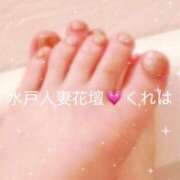 ヒメ日記 2025/12/26 08:03 投稿 くれは 水戸人妻花壇