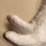 ヒメ日記 2025/12/27 10:10 投稿 くれは 水戸人妻花壇