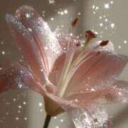 ヒメ日記 2026/01/03 13:10 投稿 くれは 水戸人妻花壇