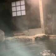 ヒメ日記 2026/01/27 06:35 投稿 くれは 水戸人妻花壇