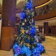 ヒメ日記 2025/11/27 17:30 投稿 うた【FG系列】 フィーリングin横浜