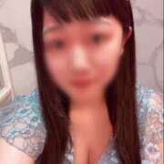 ヒメ日記 2025/07/28 17:29 投稿 秋桜(こすもす) チューリップ宇都宮店