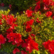 ヒメ日記 2025/08/04 08:25 投稿 ろく若奥 未熟な若奥