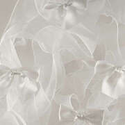 ヒメ日記 2025/08/19 07:43 投稿 ろく若奥 未熟な若奥