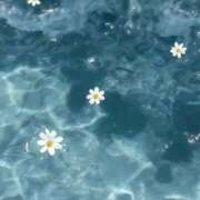 ヒメ日記 2025/08/26 07:33 投稿 ろく若奥 未熟な若奥