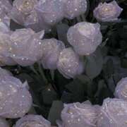 ヒメ日記 2025/09/14 15:43 投稿 ろく若奥 未熟な若奥