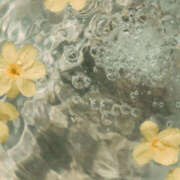 ヒメ日記 2025/09/15 19:13 投稿 ろく若奥 未熟な若奥