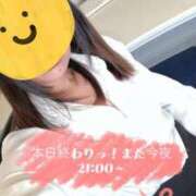 ヒメ日記 2025/07/21 06:28 投稿 優香（ゆうか） 今日、私はあなたの部下（マーベリックグループ）