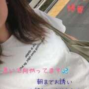 ヒメ日記 2025/07/21 20:48 投稿 優香（ゆうか） 今日、私はあなたの部下（マーベリックグループ）