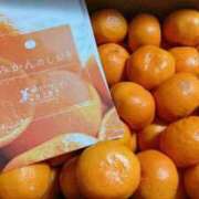 ヒメ日記 2026/02/08 13:58 投稿 優香（ゆうか） 今日、私はあなたの部下（マーベリックグループ）