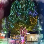 ヒメ日記 2024/12/20 17:01 投稿 月影 まりえ ミセス・レヴォアール～再会～