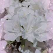 ヒメ日記 2025/04/27 19:04 投稿 月影 まりえ ミセス・レヴォアール～再会～