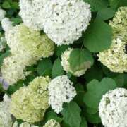 ヒメ日記 2025/06/25 19:48 投稿 月影 まりえ ミセス・レヴォアール～再会～