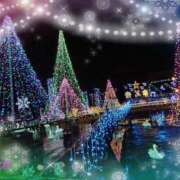 ヒメ日記 2025/12/25 17:21 投稿 月影 まりえ ミセス・レヴォアール～再会～