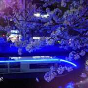 月影 まりえ ☆お花見真っ盛り！ ミセス・レヴォアール～再会～