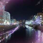 ヒメ日記 2026/04/08 20:39 投稿 月影 まりえ ミセス・レヴォアール～再会～