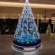 ヒメ日記 2025/12/18 17:42 投稿 桃宮 菜穂 テレジア大阪