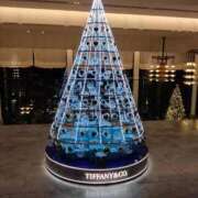 ヒメ日記 2025/12/18 17:35 投稿 桃宮 菜穂 テレジア京都