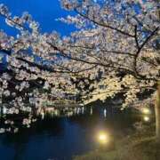 ヒメ日記 2026/04/12 03:14 投稿 みやび ラブライフ大宮岩槻店