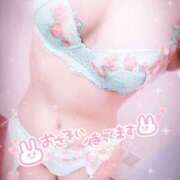 ヒメ日記 2025/09/10 11:57 投稿 れい 奥様メモリアル