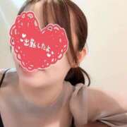 ヒメ日記 2025/10/26 21:03 投稿 ひとか 奥様メモリアル