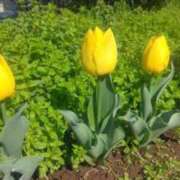 ヒメ日記 2025/07/28 10:30 投稿 ネネカ 千葉美女革命