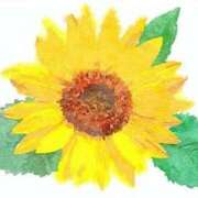 ヒメ日記 2025/08/04 08:31 投稿 ネネカ 千葉美女革命