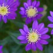 ヒメ日記 2025/08/04 12:31 投稿 ネネカ 千葉美女革命