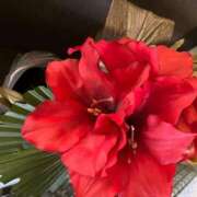 ヒメ日記 2025/08/07 08:01 投稿 ネネカ 千葉美女革命