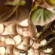 ヒメ日記 2025/08/08 08:11 投稿 ネネカ 千葉美女革命